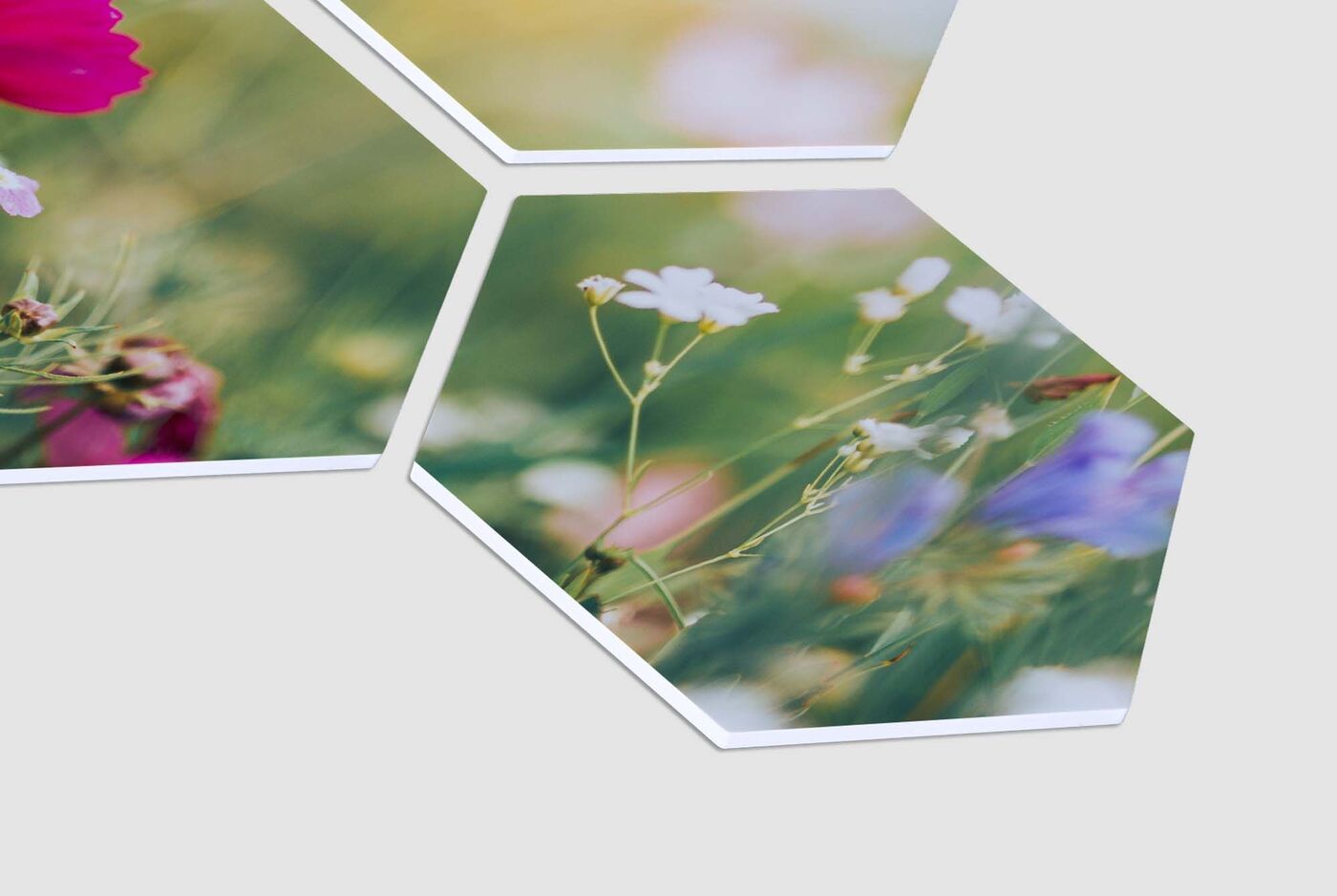 Sexkantiga fotoutskrifter med färgglada blommotiv.